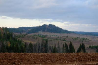 Кар-гора (Каргурезь), гора Яблоновая ( Удмуртская Республика  )