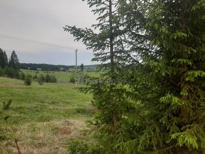 Комплекс  ( Удмуртская Республика  )