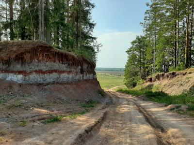 Заякинская кедровая роща  ( Удмуртская Республика  )