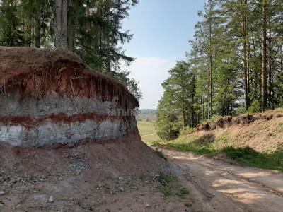 Заякинская кедровая роща  ( Удмуртская Республика  )