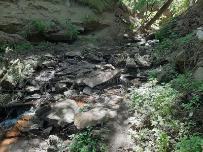 Нечкинский водопад ( Удмуртская Республика  )