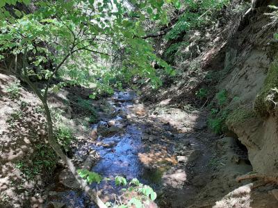 Нечкинский водопад ( Удмуртская Республика  )