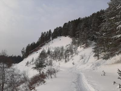 Тропа здоровья к горе Байгурезь ( Удмуртская Республика  )