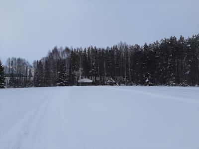 Исток реки Вала ( Удмуртская Республика  )