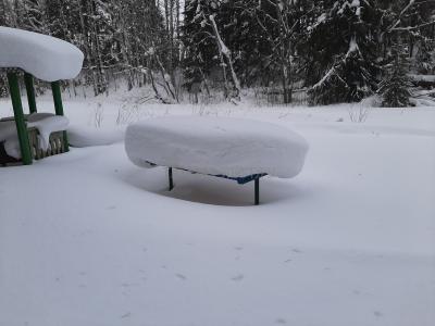 Исток реки Вала ( Удмуртская Республика  )